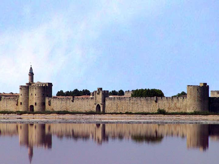 Des marais, une vue sur Aigues Mortes